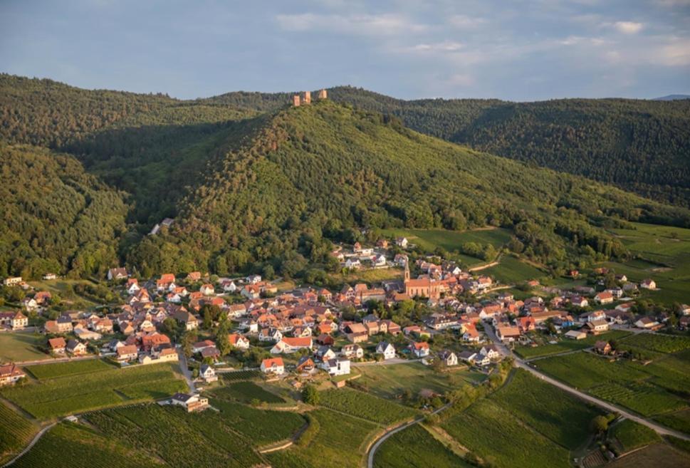 Gite Des Trois Chateaux Husseren-les-Châteaux Buitenkant foto